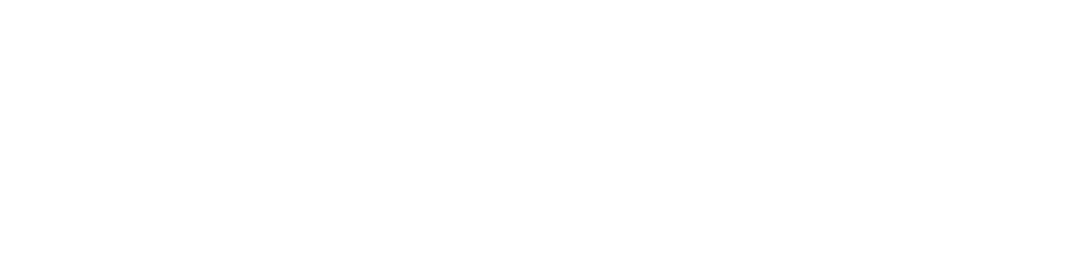 Auvo